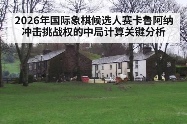 2026年国际象棋候选人赛卡鲁阿纳冲击挑战权的中局计算关键分析